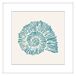 Cuadro CARACOL AZUL 42x42cm marca MARCOMUEBLE Cuadro CARACOL AZUL 42x42cm marca MARCOMUEBLE Azul