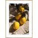Cuadro deco art LIMONES 35x50cm marca MARCOMUEBLE Cuadro deco art LIMONES 35x50cm marca MARCOMUEBLE Multicolor