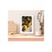 Cuadro deco art LIMONES 35x50cm marca MARCOMUEBLE Cuadro deco art LIMONES 35x50cm marca MARCOMUEBLE Multicolor