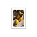 Cuadro deco art LIMONES 35x50cm marca MARCOMUEBLE Cuadro deco art LIMONES 35x50cm marca MARCOMUEBLE Multicolor