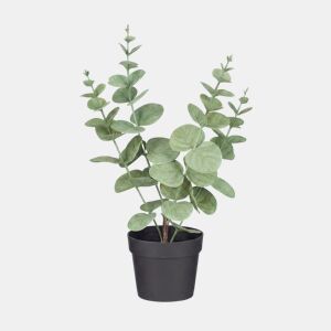 Planta floral HOJA REDONDA 35cm sortido