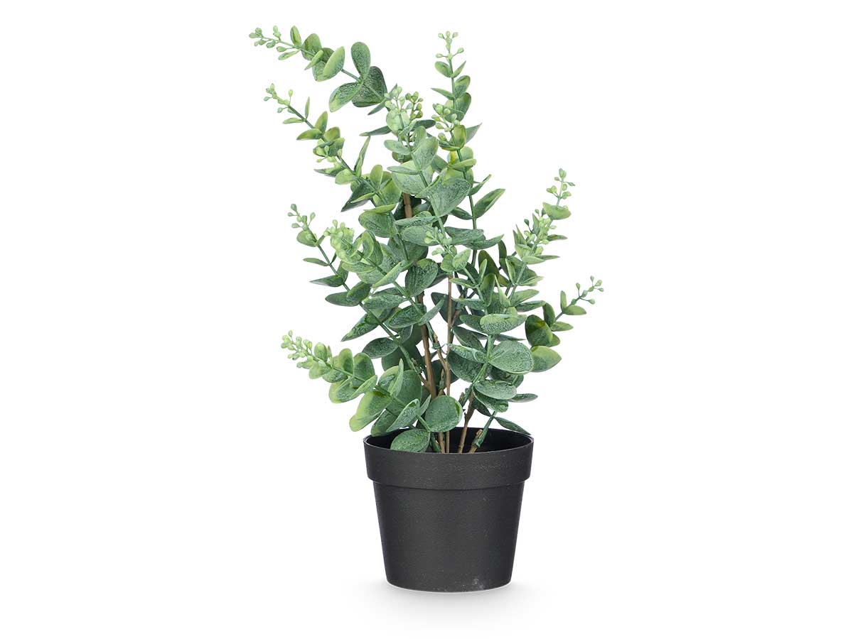 Planta floral EUCALIPTO 35cm surtido 