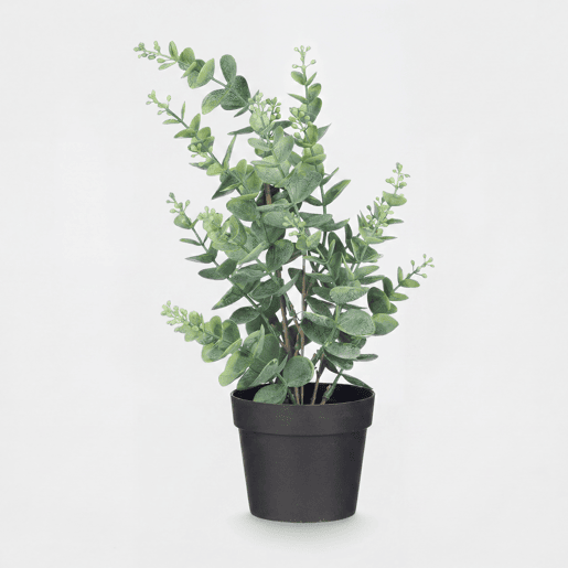 Planta floral EUCALIPTO 35cm sortido