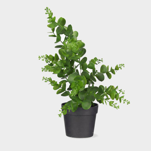 Planta floral EUCALIPTO 35cm sortido