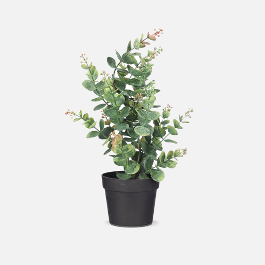 Planta floral EUCALIPTO 35cm sortido