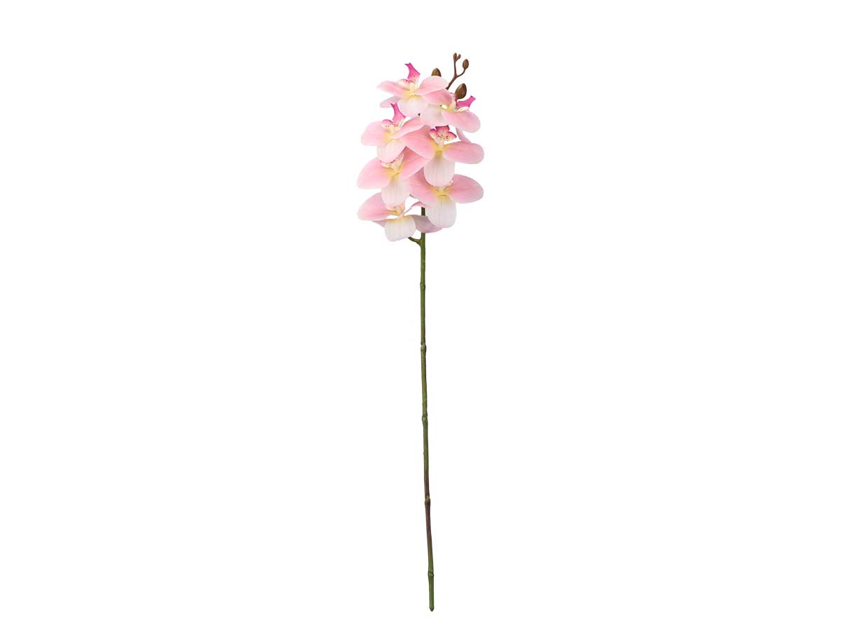 Planta floral ORQUIDEA 65cm surtido 