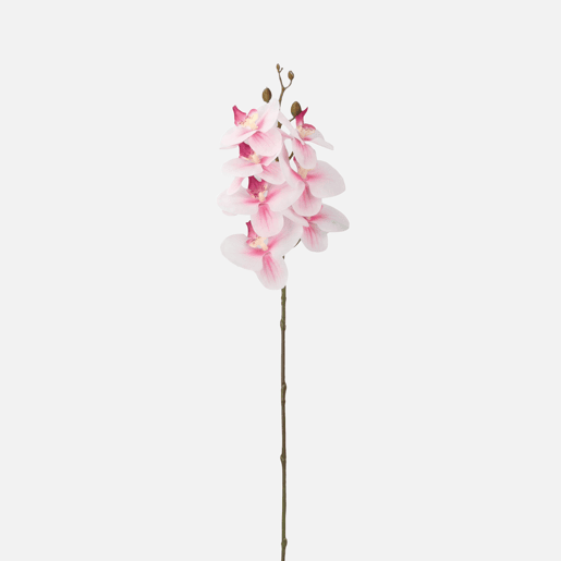 Planta floral ORQUIDEA 65cm sortido