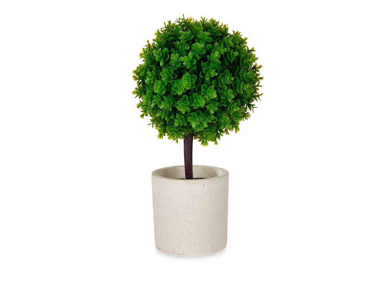 Planta floral ARBOL VERDE en maceta de cemento 24cm surtido