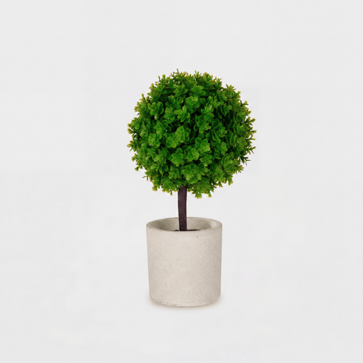 Planta floral ARBOL VERDE em vaso de cimento 24cm sortidas