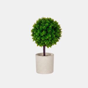 Planta floral ARBOL VERDE em vaso de cimento 24cm sortidas