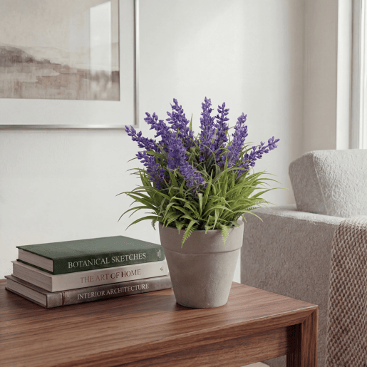 Planta floral LAVANDA em vaso de cimento 23cm sortidas