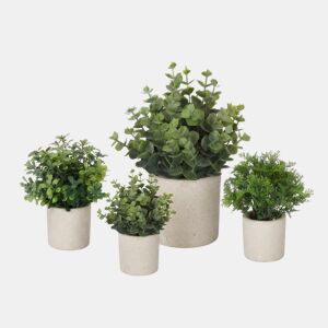 Planta floral VERDE em vaso de cimento 21cm sortidas