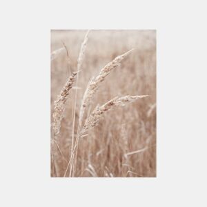 Quadro TRIGO 50x70cm marca CONFORAMA