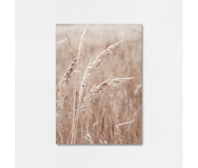 Canvas trigo 50x70cm marca conforama - conforama