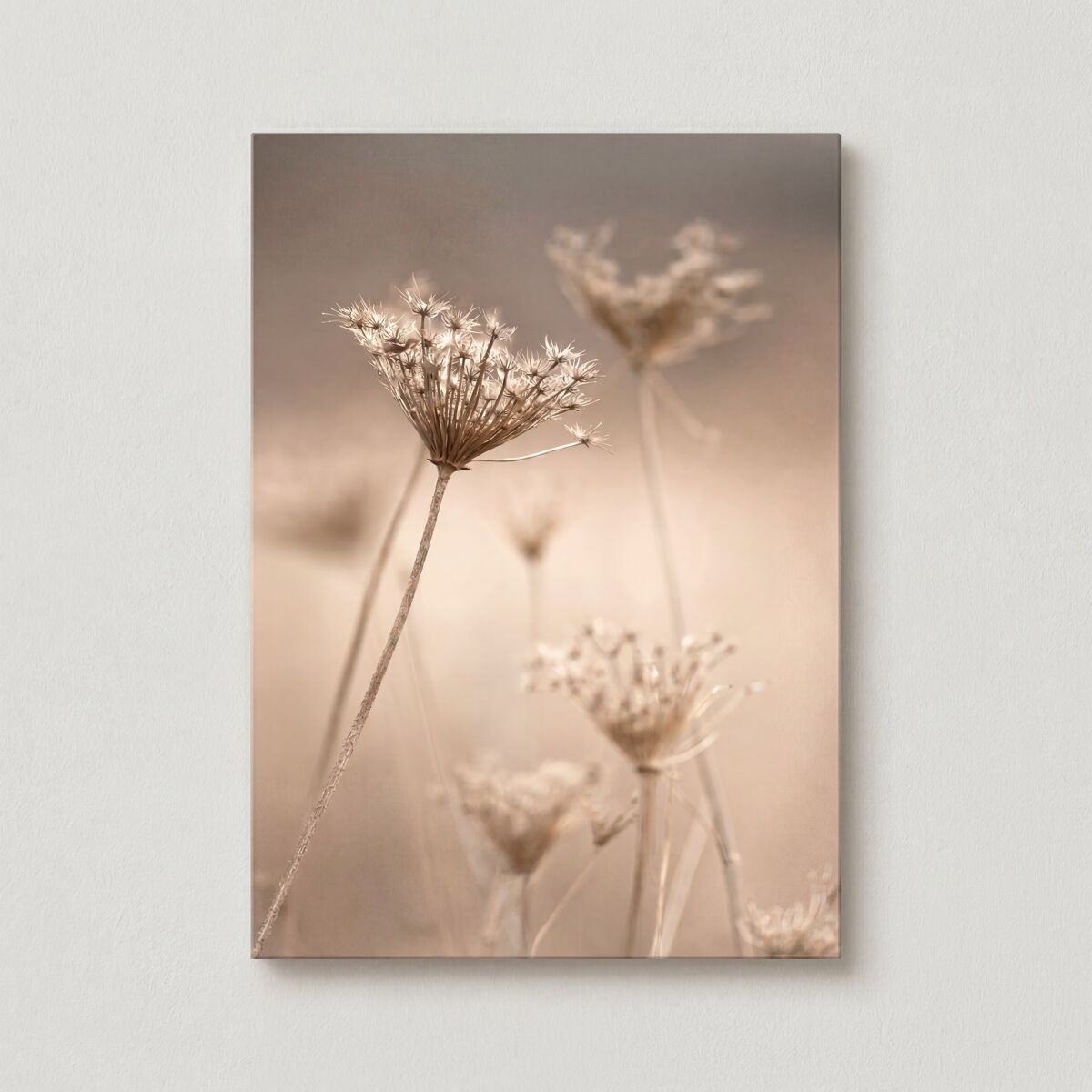 Canvas flores silvestres 50x70cm marca conforama - conforama