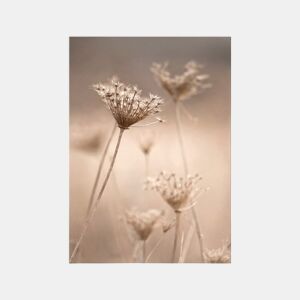 Quadro FLORES SILVESTRES 50x70cm marca CONFORAMA