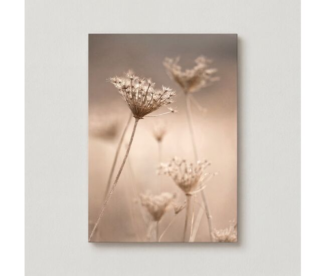 Canvas flores silvestres 50x70cm marca conforama - conforama
