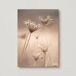Canvas FLORES SILVESTRES 50x70cm marca CONFORAMA Canvas FLORES SILVESTRES 50x70cm marca CONFORAMA Beige