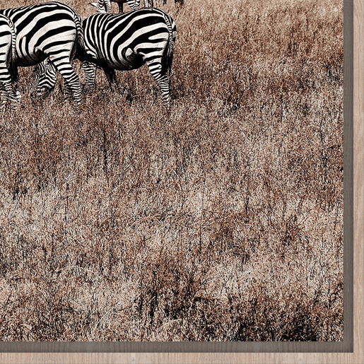 Quadro TRIBU ZEBRAS 50x70cm marca CONFORAMA