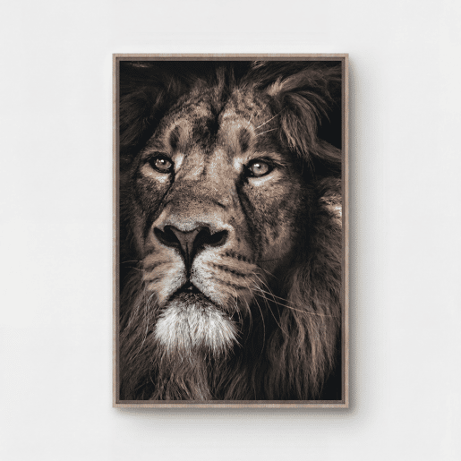 Quadro LEÓN MAJESTUOSO 60x90cm marca CONFORAMA