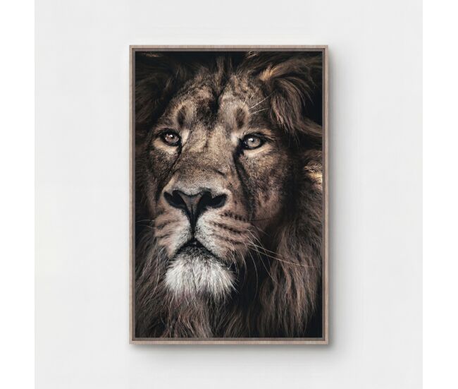 Canvas león majestuoso 60x90cm marca conforama - conforama