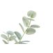Planta artificial EUCALIPTO marca CONFORAMA Planta artificial EUCALIPTO marca CONFORAMA Verde