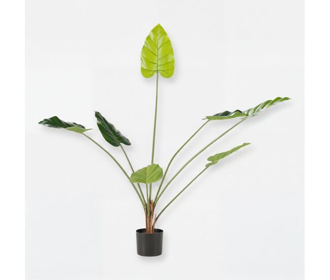 Planta artifical philodendon 120cm marca conforama - conforama