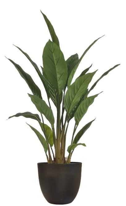 Planta artificial STRELITZIA 70cm marca CONFORAMA