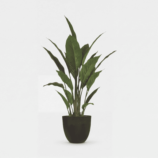 Planta artificial STRELITZIA 70cm marca CONFORAMA