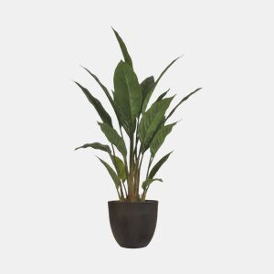 Planta artificial STRELITZIA 70cm marca CONFORAMA