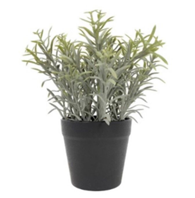 Planta artificial surtida HUGO 20cm marca CONFORAMA