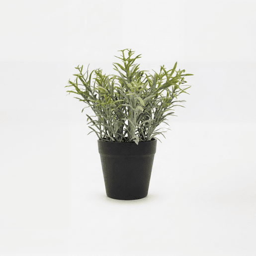Planta artificial sortida HUGO 20cm marca CONFORAMA
