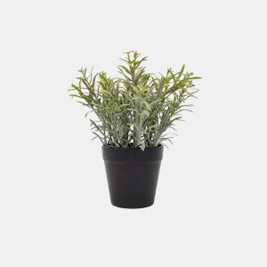 Planta artificial sortida HUGO 20cm marca CONFORAMA