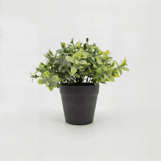 Planta artificial sortida HUGO 20cm marca CONFORAMA