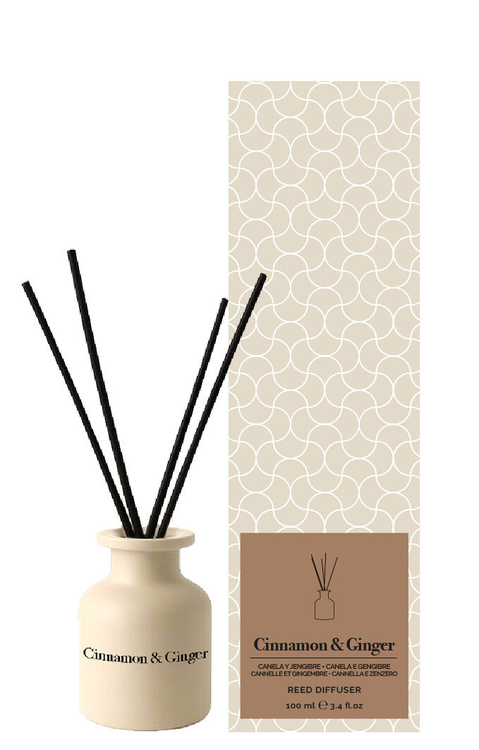Mikado premium CINAMMON y GINGER 100ml