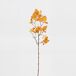 Planta floral artificial CORNUS 63cm marca MICA DECORATIONS Planta floral artificial CORNUS 63cm marca MICA DECORATIONS Amarillo