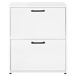 Zapatero PRIMUS 2 trampones 74x58x26,5cm blanco Zapatero PRIMUS 2 trampones 74x58x26,5cm blanco Blanco