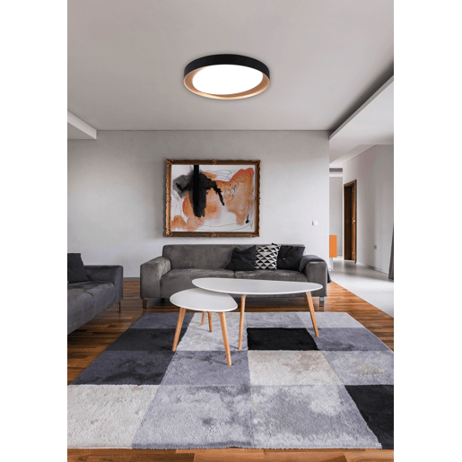 Plafon LED ZETA 24w 48,5cm de diâmetro preto