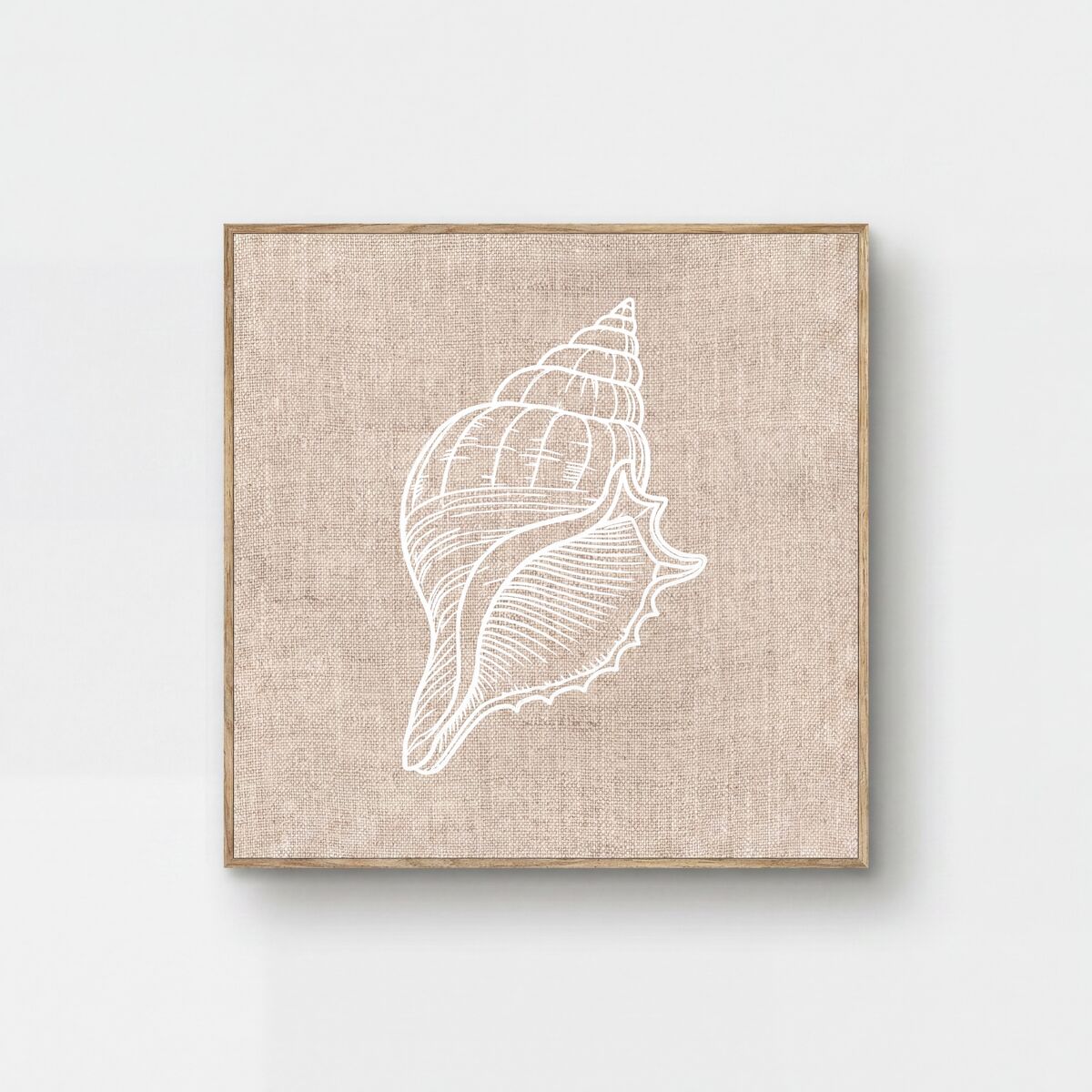 Cuadro deco art CARACOLA relieve 40x40cm con marco 
