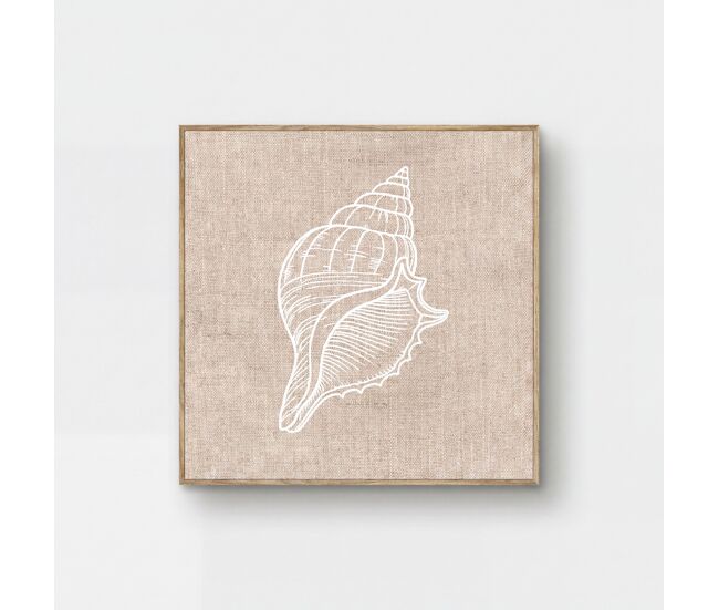 Cuadro deco art caracola relieve 40x40cm con marco
