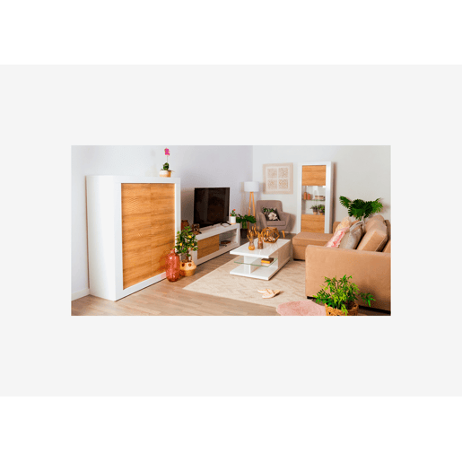 Móvel de TV 1 porta com iluminação Led DUNE cor branco