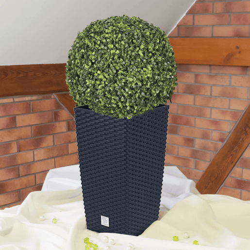 Conjunto Duplo De 35 Litros Com Inserção 28,7 X 28,7 X 55 Cm Na Cor Antracite + Boj Diâmetro 36 Cm
