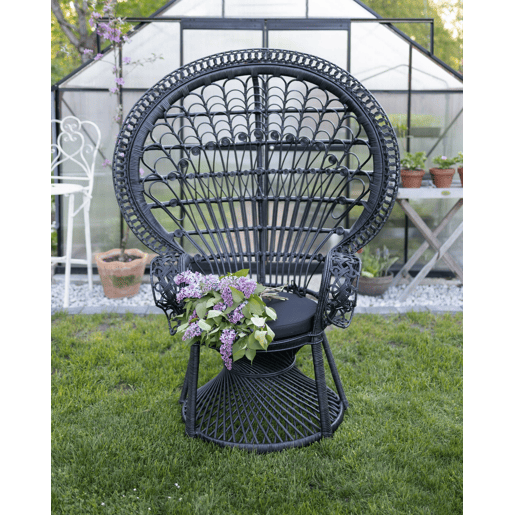 Cadeira pavão EMMANUELLE Rattan Preto