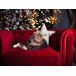 Beliani Sillón CHESTERFIELD Beliani Sillón CHESTERFIELD Rojo