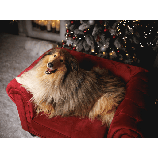 Poltrona CHESTERFIELD Veludo Vermelho escuro
