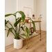 Beliani Carrito de cocina NOTI Beliani Carrito de cocina NOTI Dorado