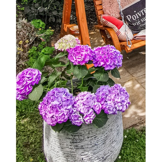 Vaso DIONI 48 cm Cinzento claro