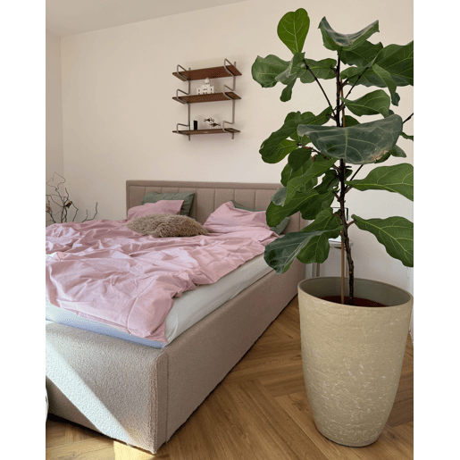 Conjunto de 2 vasos para plantas CAMIA 51 cm Creme