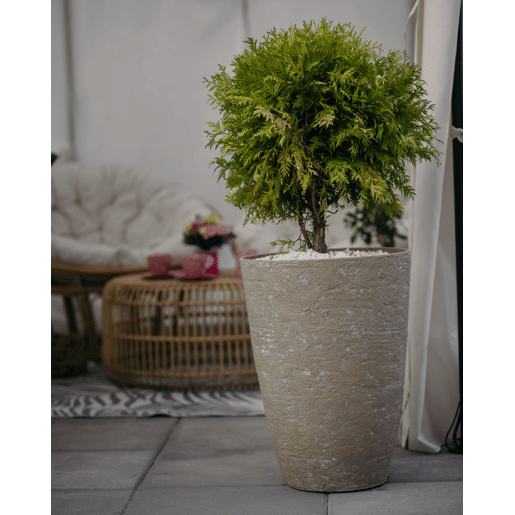 Conjunto de 2 vasos para plantas CAMIA 43 cm Creme