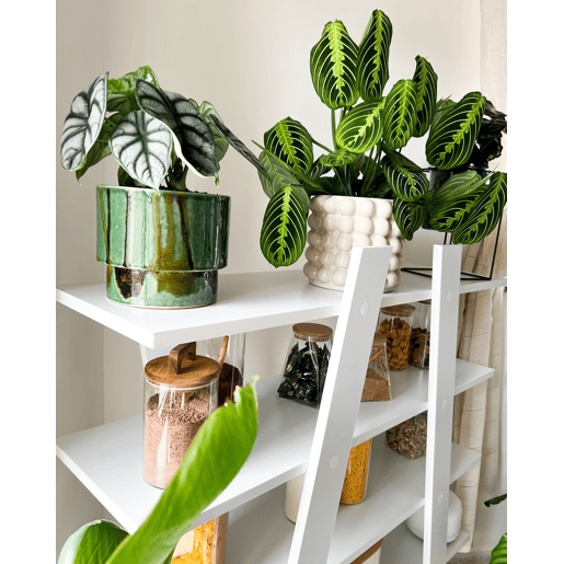 Estante com 5 prateleiras ESCALANTE 116 cm Branco